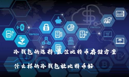 冷钱包的选择：最佳比特币存储方案

什么样的冷钱包放比特币好