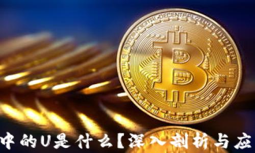 
WEB3世界中的U是什么？深入剖析与应用场景解析