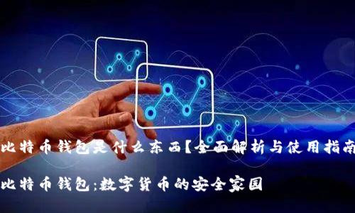 比特币钱包是什么东西？全面解析与使用指南

比特币钱包：数字货币的安全家园