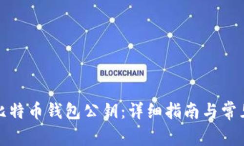 如何寻找比特币钱包公钥：详细指南与常见问题解答