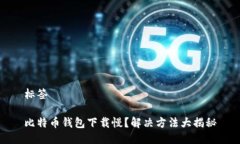 标签比特币钱包下载慢？