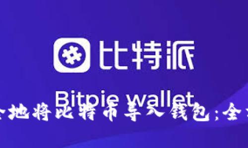 如何安全地将比特币导入钱包：全方位指南