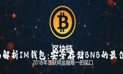  全面解析IM钱包：安全存储BNB的最佳选择