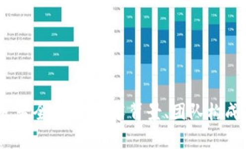IM钱包开发者全解析：技术背景、团队构成与未来展望