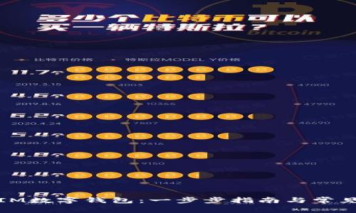 如何创建IM数字钱包：一步步指南与常见问题解答