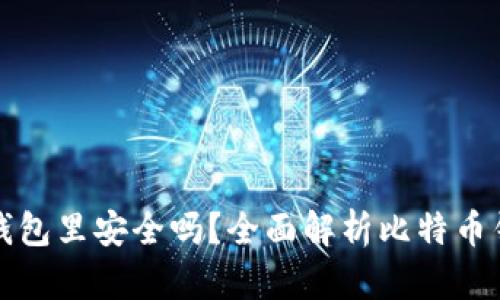 比特币放到钱包里安全吗？全面解析比特币钱包的安全性