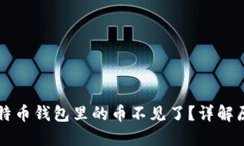 为什么我的比特币钱包里的币不见了？详解原因与解决方案