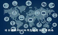 适合存放USDT的钱包推荐及