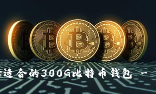 如何选择适合的300G比特币钱包 - 完全指南