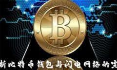 深度解析比特币钱包与闪