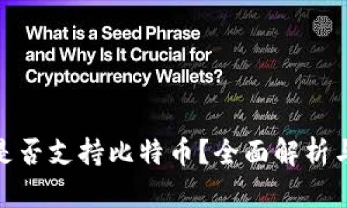 imToken钱包是否支持比特币？全面解析与用户使用指南