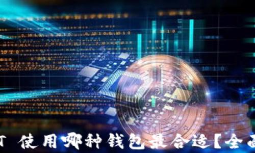 
TRC20 USDT 使用哪种钱包最合适？全面解析与推荐