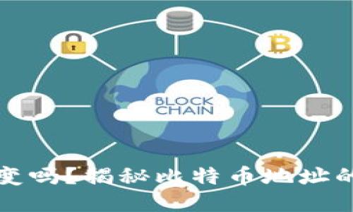 比特币钱包地址会变吗？揭秘比特币地址的安全性与隐私保护