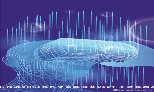 如何在OMNI钱包中高效归集USDT：全方位指南