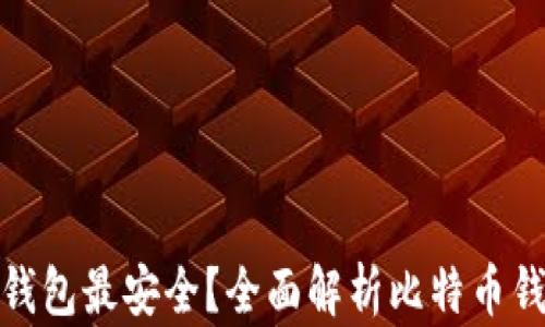 
哪种比特币钱包最安全？全面解析比特币钱包的安全性