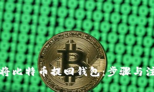 如何安全地将比特币提回钱包：步骤与注意事项详解