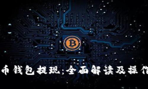 比特币钱包提现：全面解读及操作指南