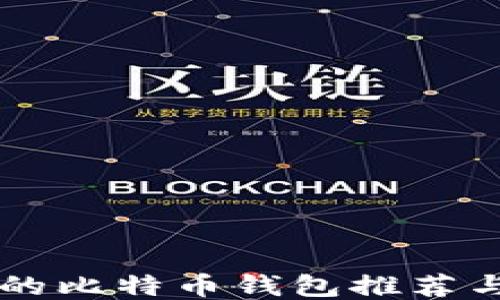 
国外最大的比特币钱包推荐与使用指南