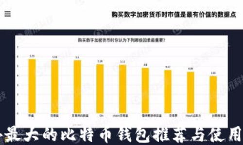 
国外最大的比特币钱包推荐与使用指南