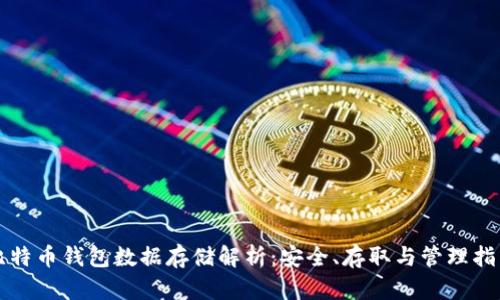 比特币钱包数据存储解析：安全、存取与管理指南