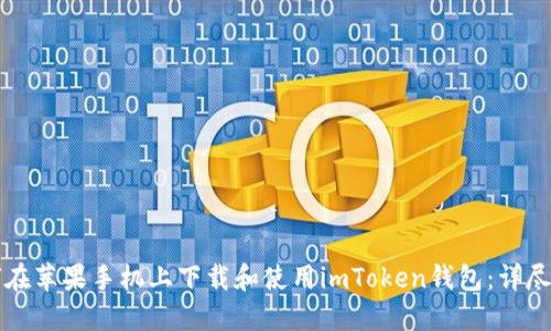 如何在苹果手机上下载和使用imToken钱包：详尽指南