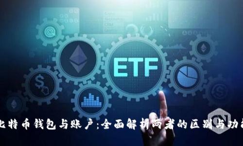 比特币钱包与账户：全面解析两者的区别与功能