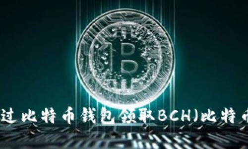 如何通过比特币钱包领取BCH（比特币现金）