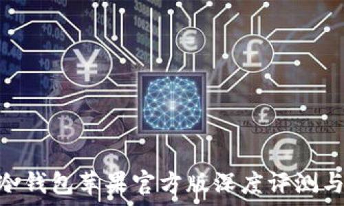   
imToken冷钱包苹果官方版深度评测与使用指南