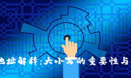 USDT钱包地址解释：大小写的重要性与安全性分析