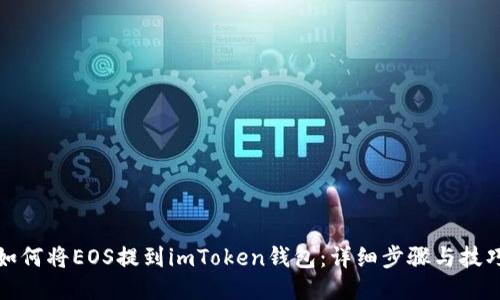 如何将EOS提到imToken钱包：详细步骤与技巧