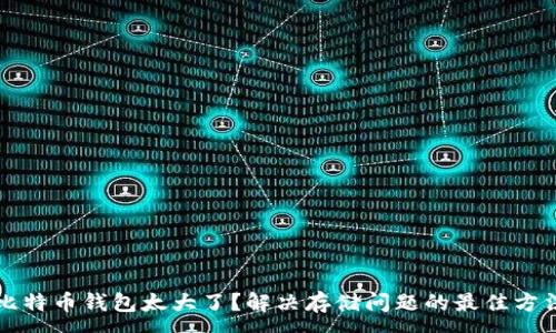 :
比特币钱包太大了？解决存储问题的最佳方法