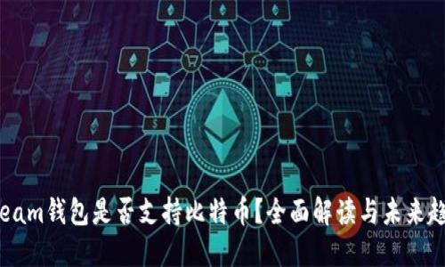 Steam钱包是否支持比特币？全面解读与未来趋势