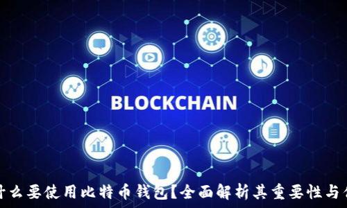   
为什么要使用比特币钱包？全面解析其重要性与优势