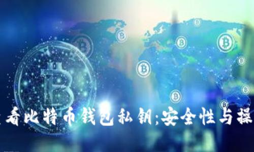 如何查看比特币钱包私钥：安全性与操作指南