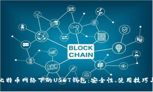 深入解析比特币网络下的USDT钱包:安全性、使用技巧与市场动态
