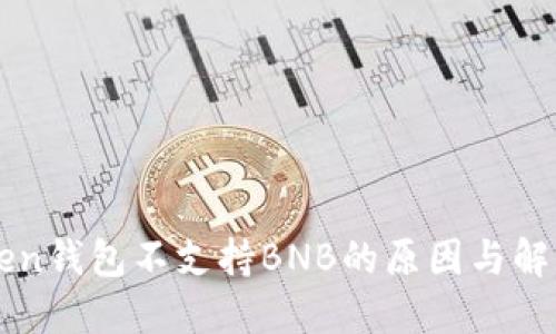 imToken钱包不支持BNB的原因与解决方案
