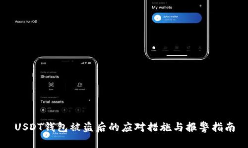 USDT钱包被盗后的应对措施与报警指南