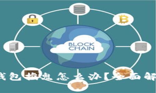  遇到比特币钱包捣鬼怎么办？全面解析与解决方案