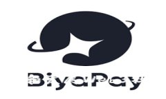  如何高效管理和发展Web