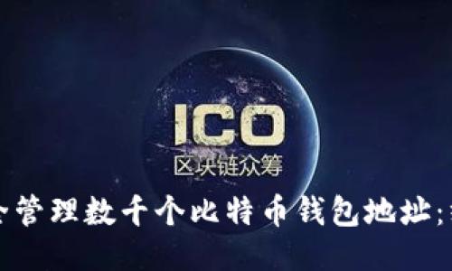 如何安全管理数千个比特币钱包地址：终极指南