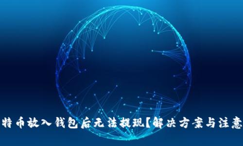 : 比特币放入钱包后无法提现？解决方案与注意事项