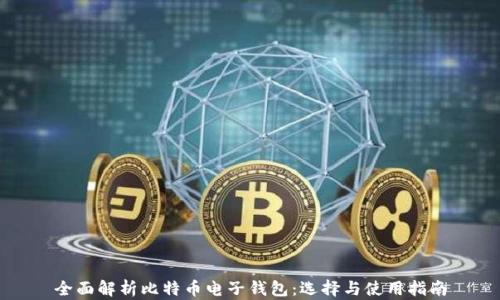 
全面解析比特币电子钱包：选择与使用指南